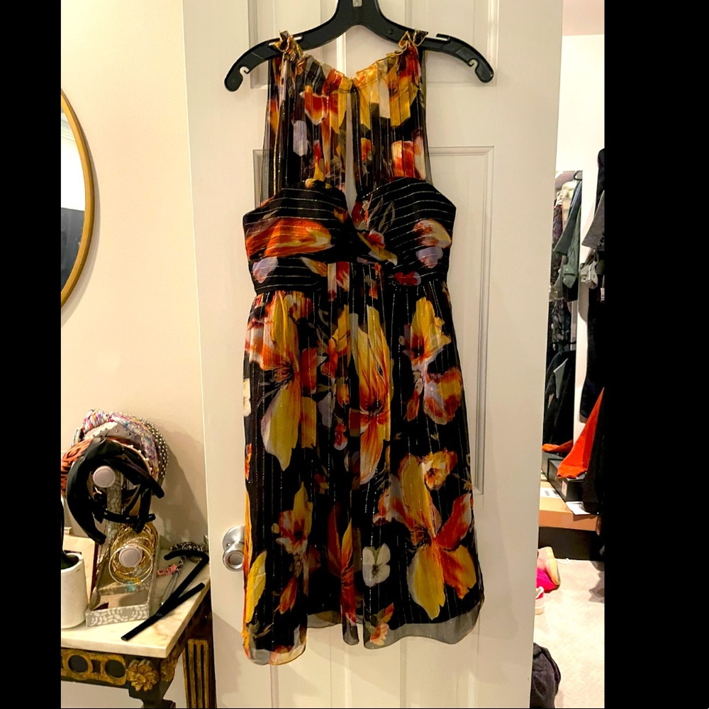 Anthropologie silk shimmer dress